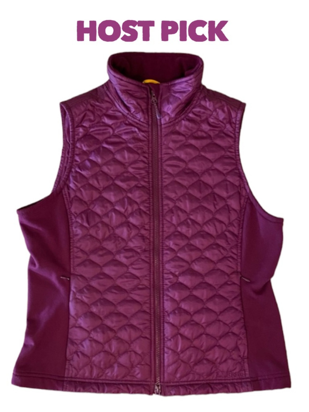 🎉L.L. BEAN quilted Thinsulate vest